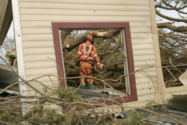 How Our Tree Care Process Works  in  Sheridan, OR